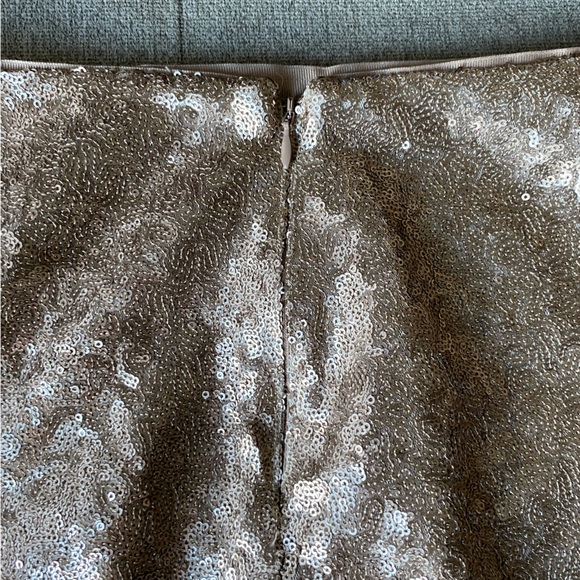 Champagne gold sequin GAP skirt - Picture 6 of 6
